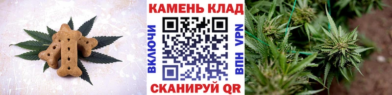 ссылка на мегу ССЫЛКА Кирсанов Печенье с ТГК конопля это состав что такое