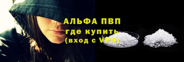 apvp Богданович