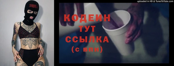стаф Богородицк