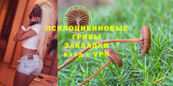 стаф Богородицк