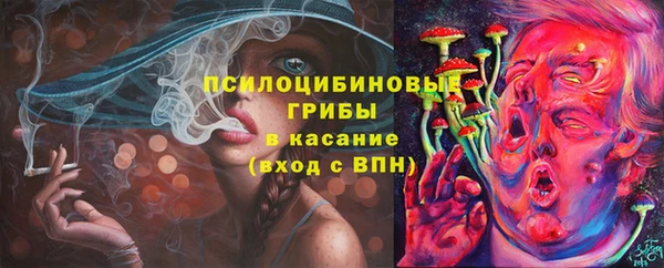 apvp Богданович