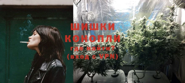 стаф Богородицк
