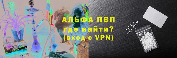стаф Богородицк