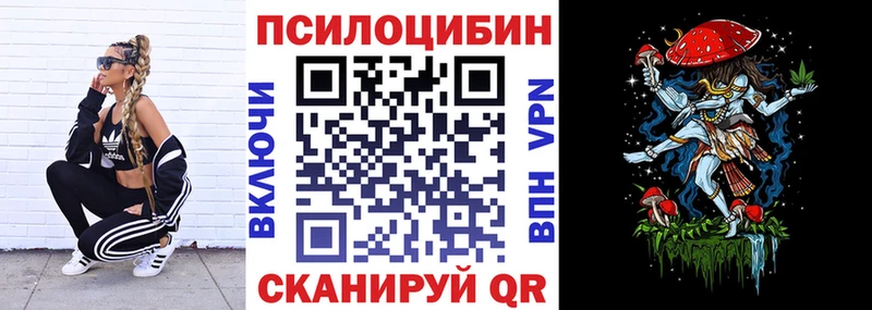 закладки  Кирсанов  Галлюциногенные грибы Psilocybine cubensis 